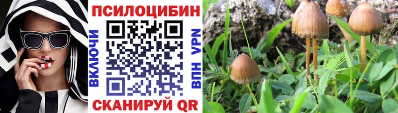 Псилоцибиновые грибы Psilocybine cubensis  кракен зеркало  Урень 